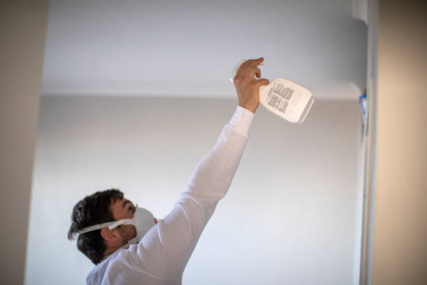 Best Home Mold Removal  in Johns Creek, GA