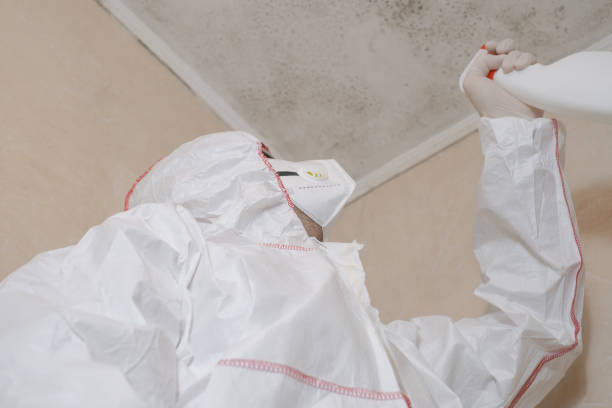 Best Residential Mold Removal  in Johns Creek, GA