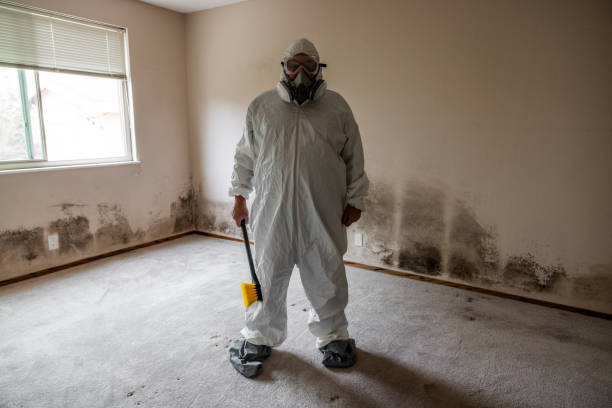 Best Attic Mold Removal  in Johns Creek, GA