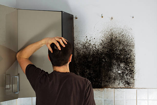 Water Damage Restoration in Johns Creek, GA